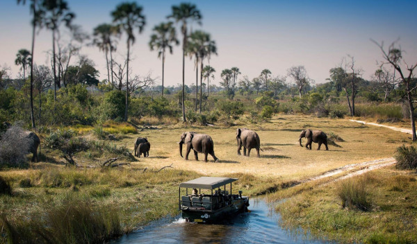 Africa - Botswana - Chobe